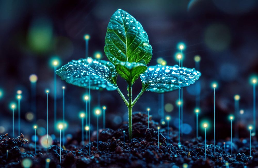 A seedling breaks the ground while all around it nodes of light gracefully rise into the sky