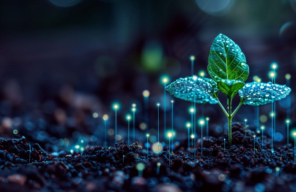 A seedling breaking through the soil while around it nodes of light gracefully rise into the air